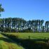 flethstieg_oederquart_17082016_kluth (78).JPG