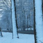 strasse_winter_ilka_raap.jpg