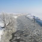 winterpriel_freiburg_harm_eilers.JPG