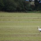 DSC06254.JPG