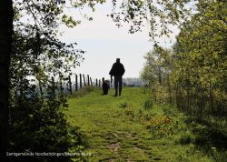 Spaziergang Mann mit Hund