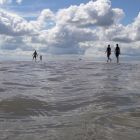 unendliche_weiten_sandbank_elbe_harm_eilers.jpg