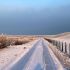 Deichweg am Aussendeich, 22.01.2016 kluth.JPG