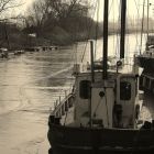 hafen_wischhafen_regina_stueven.jpg
