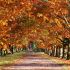 allwoerden_herbst_03112016_kluth (6).JPG