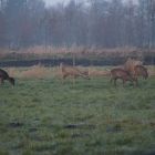 DSC03806.JPG
