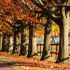 allwoerden_herbst_03112016_kluth (2).jpg