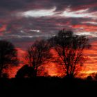 sonnenuntergang_im_moor_peter_dymek.JPG