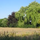 natur_christiane_richters-ziele.jpg