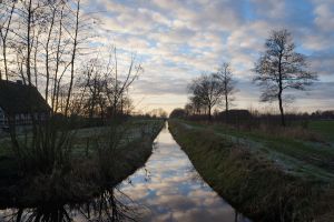 winter_am_kanal_(c)natalie_schmarje.jpg