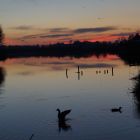 DSC07052.JPG