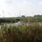 beim_faehranleger_wischhafen_marlies_tietje(1).jpg