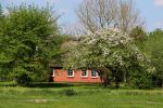 haus_hamelwoerden_faehre_11052016_kluth.JPG