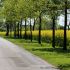 muehlenweg_freiburg_10052016_kluth.JPG