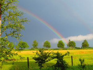 Regenbogen (c) Renate Loeding-Lee