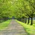 18 05 2017_allwoerden_kluth.JPG