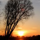 IMG_0062-2.jpg