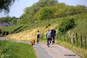 Schöne Fahrradrouten entlang des Elbedeiches