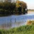 bracke_wischhafen_10_05_2016_kluth.JPG