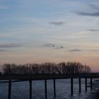 DSC01376.JPG