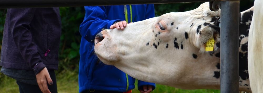 Regionale Landwirtschaft zum Anfassen