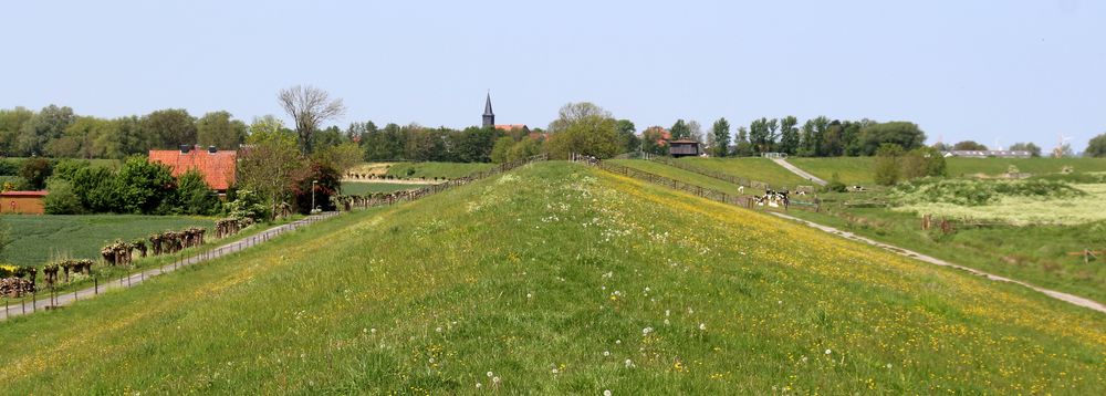 Auf dem Deich Blickrichtung Freiburg/Elbe